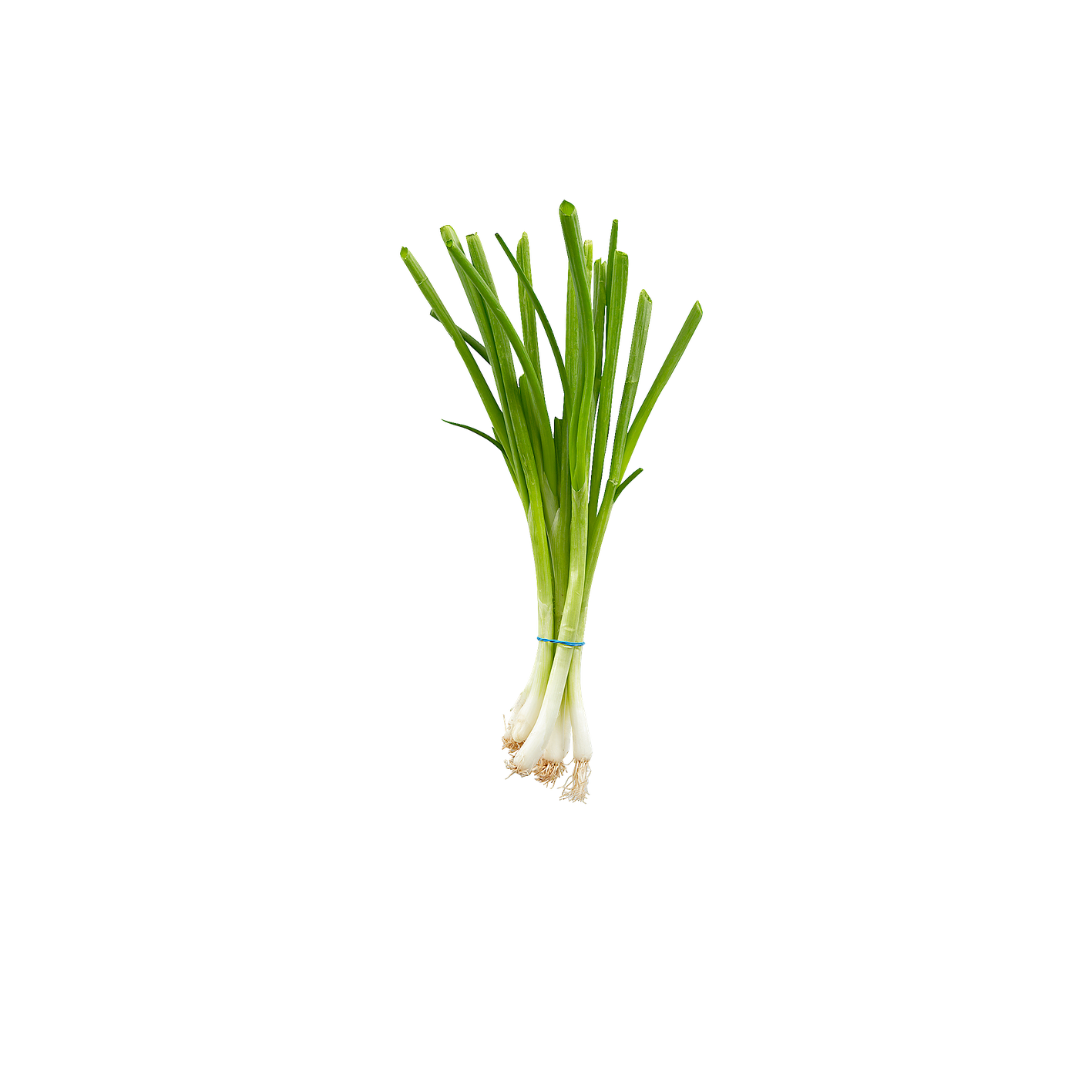 Green Onion